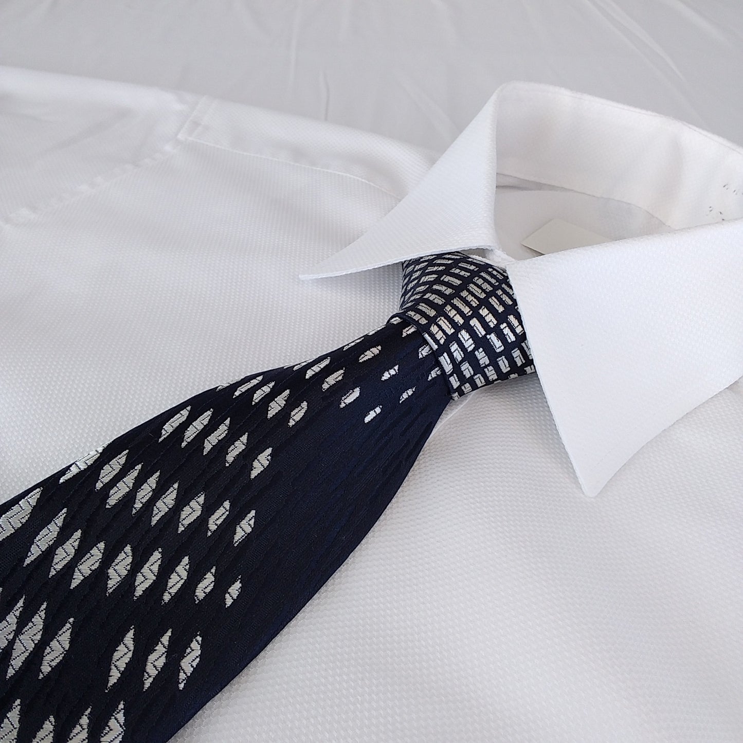 Kyoto Nishijin-ori tie(Suiryu) -Black & White-