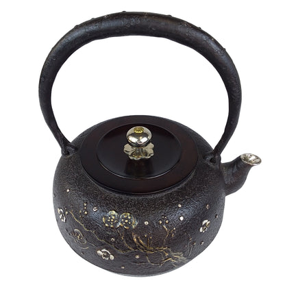 Original iron kettle -Plum, Size 10-