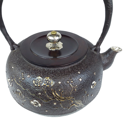 Original iron kettle -Plum, Size 10-